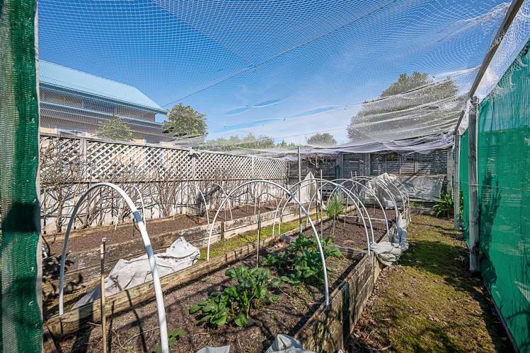 146 Rarangi Beach Road Rarangi_37