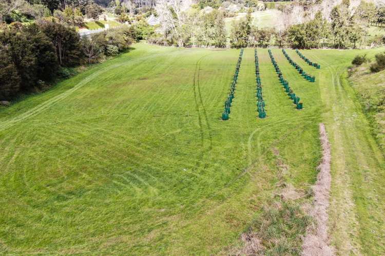 787 State highway 2 Wairoa_19