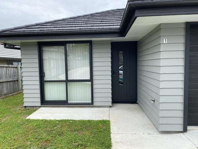 1/159 Ellicott Road Nawton_1