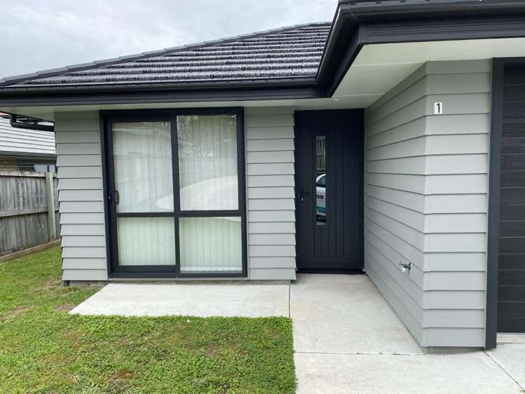 1/159 Ellicott Road Nawton_1