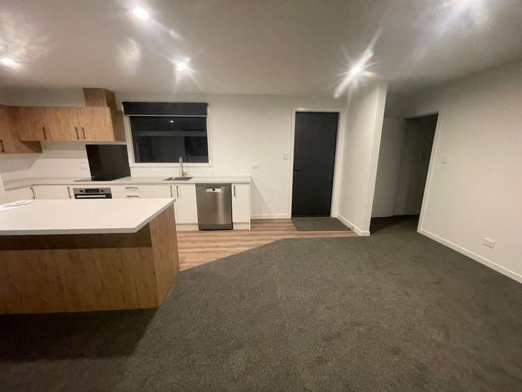 171 Archibald Street Tinwald_8