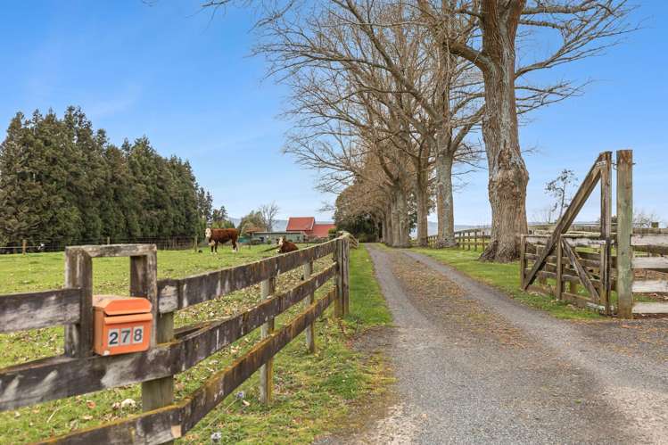278 Matai Road Matamata_31