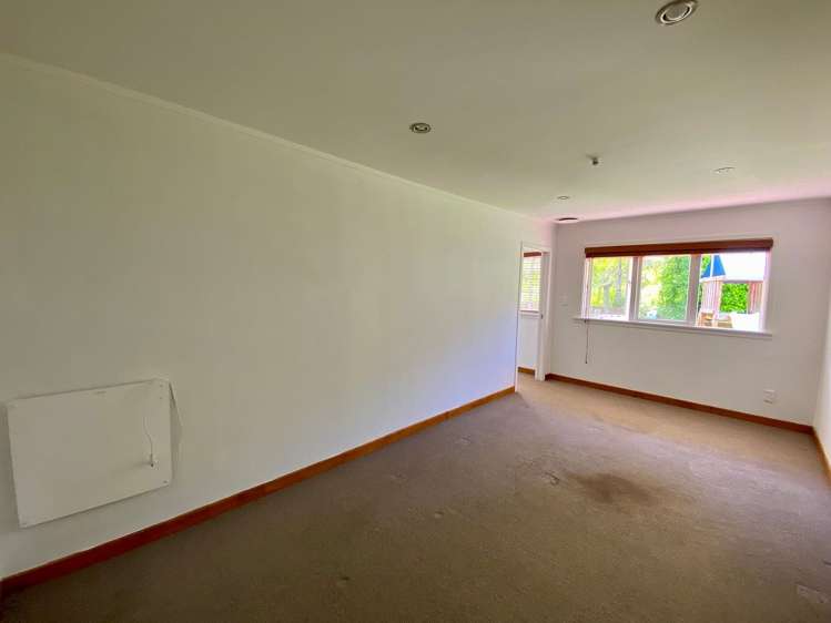 318 Sturges Road Henderson Valley_8