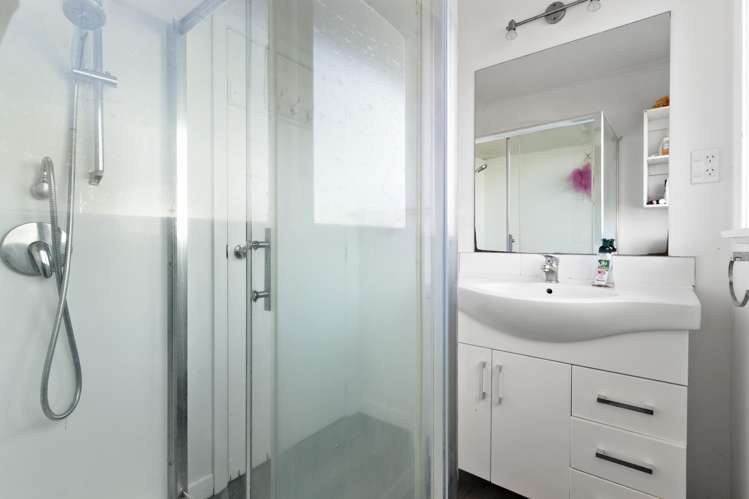 4 Orr Crescent Hutt Central_12
