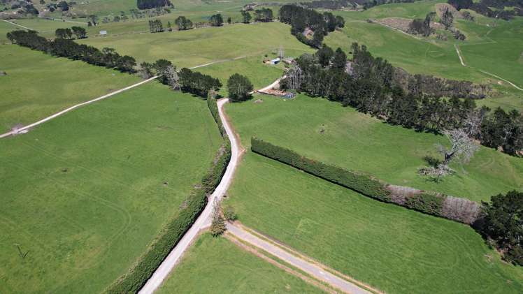 2611 Pouto Road Te Kopuru_6