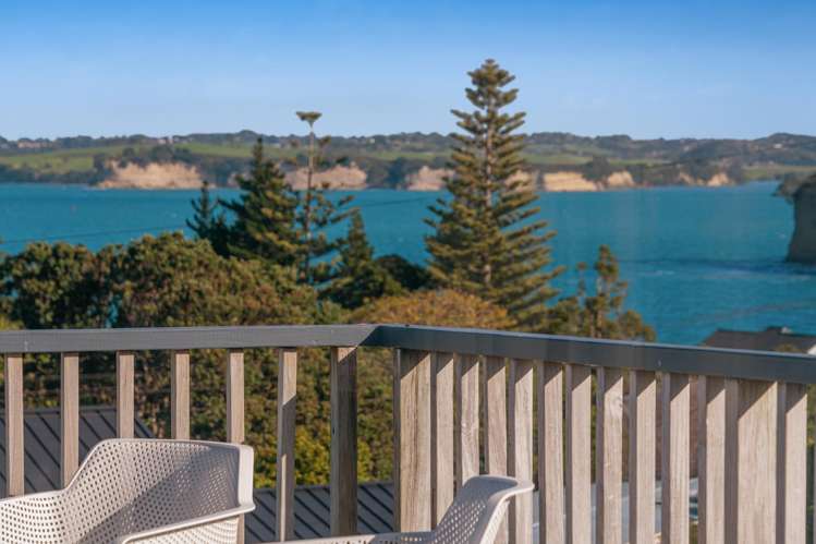24 East Avenue Manly_6