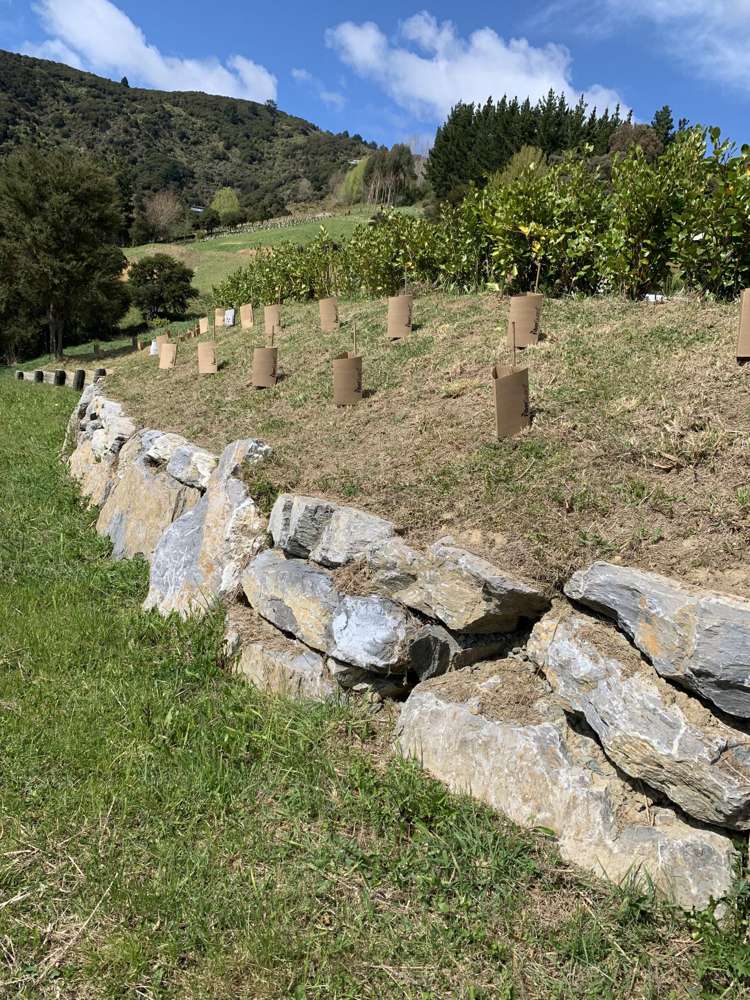 21 Skylark Rise Todds Valley_16