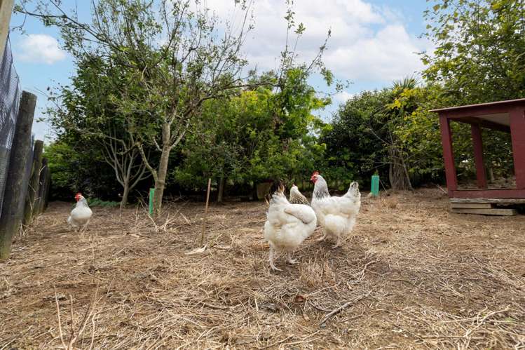 774 Mangawara Road Morrinsville_10