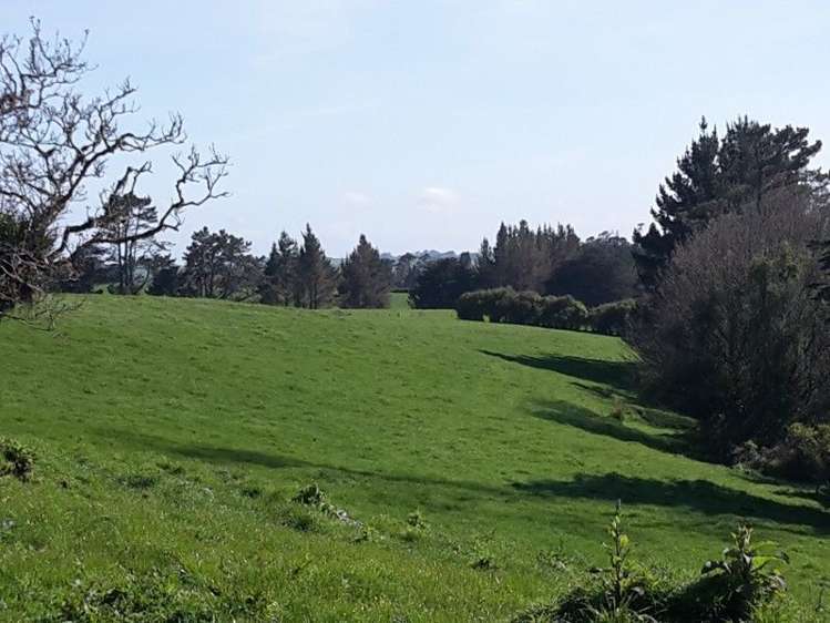 346 Rugby Road Tariki_33