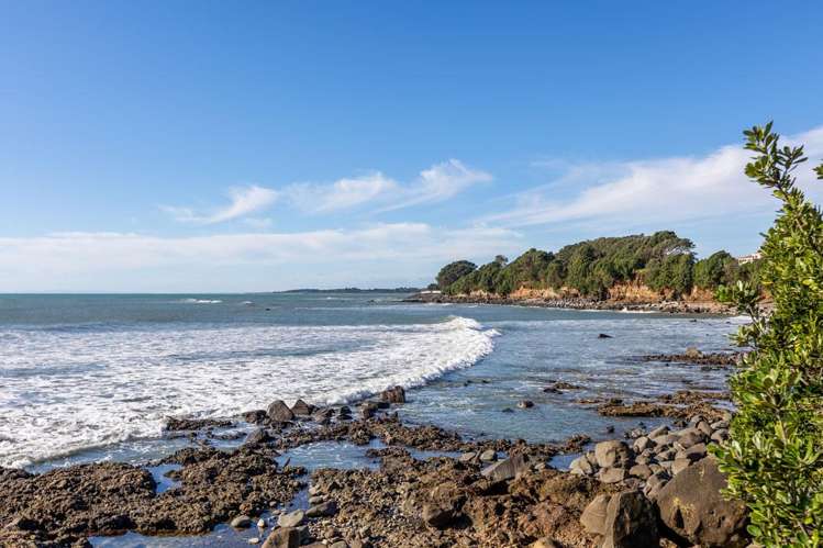 349 St Aubyn St Moturoa_8