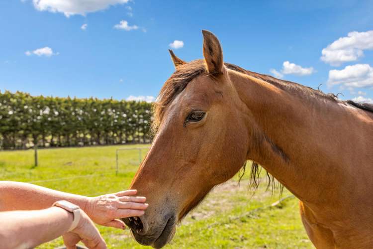 87 Balcairn Amberley Road, Balcairn Amberley_27