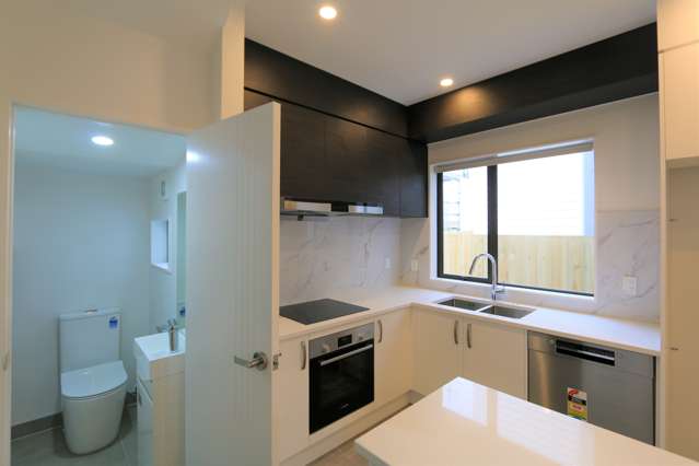 14 Arahopu Place Papakura_4