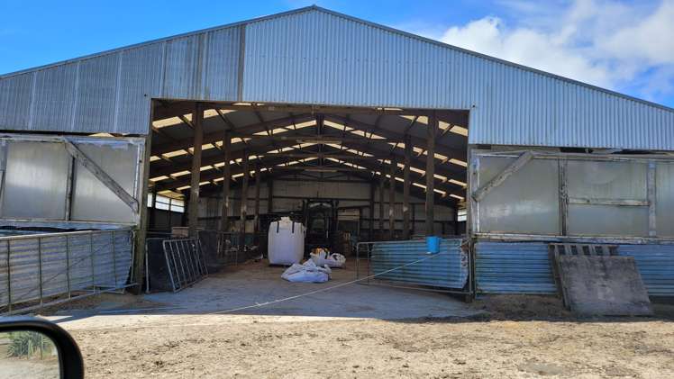 689 Mangatu Road Dargaville Surrounds_7