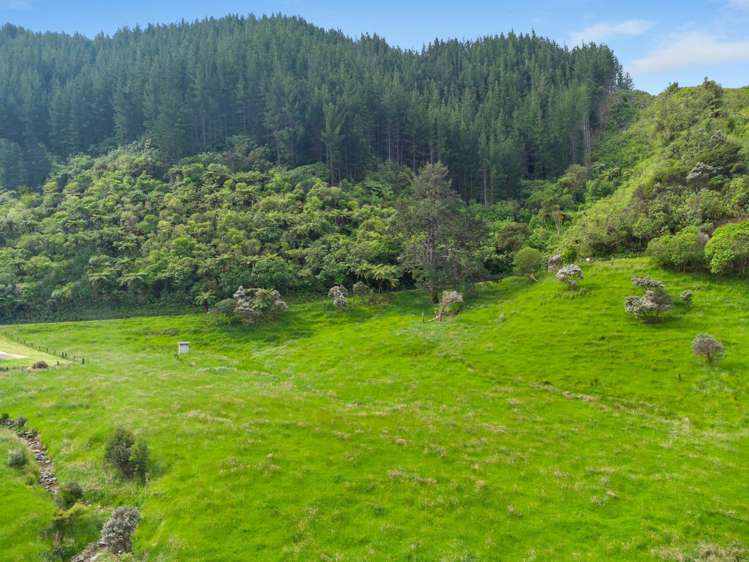 Kakapo Bay Port Underwood_12