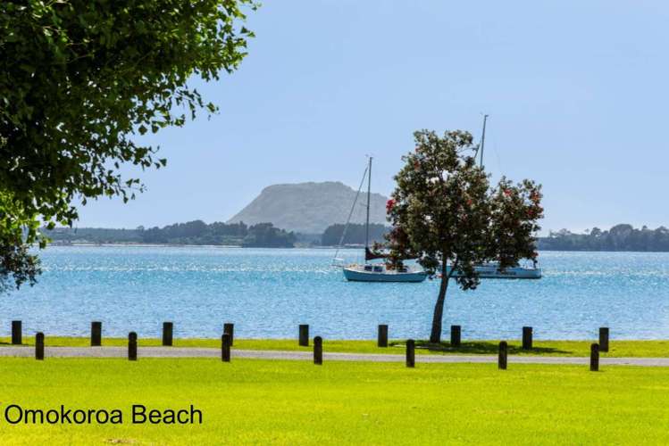 100 Hamurana Road Omokoroa_24