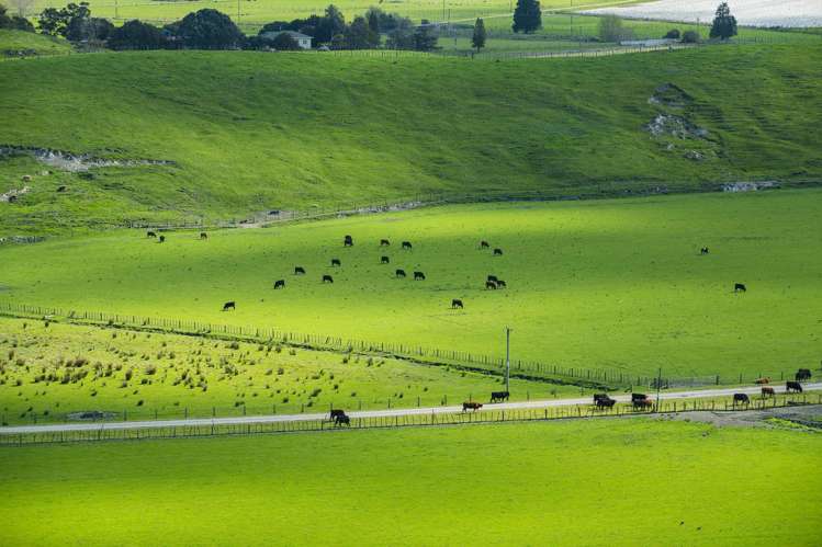 327 and 327a Taurau Valley Road Muriwai_18