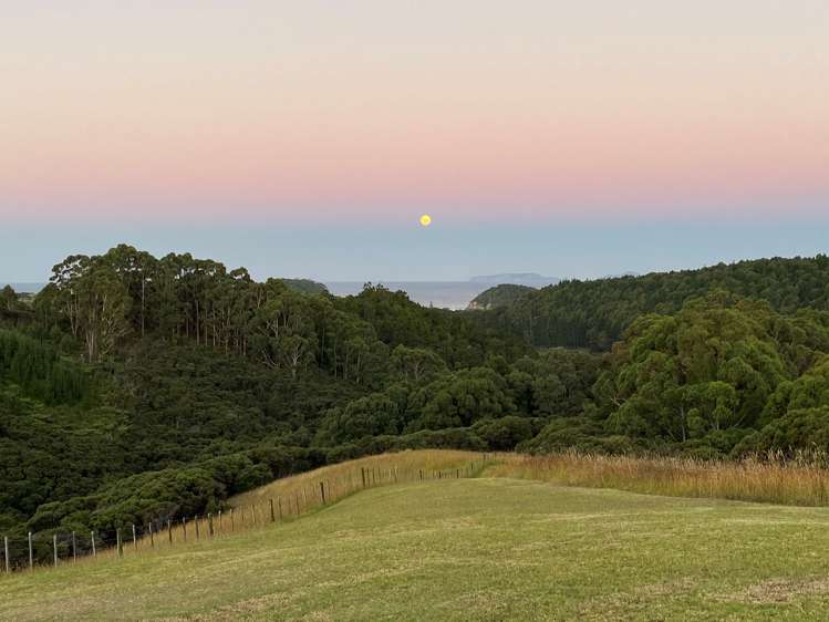 158 Clements Road Matapouri_15