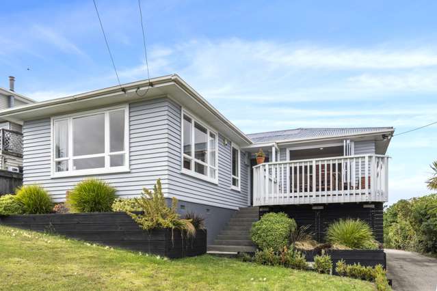 Panoramic Perfection in Titahi Bay