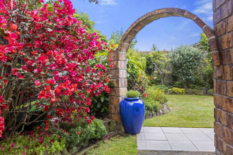 10 Hursthouse Street Vogeltown_27