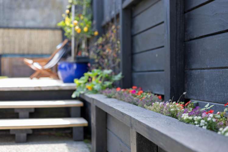 13 Milton Street Berhampore_17