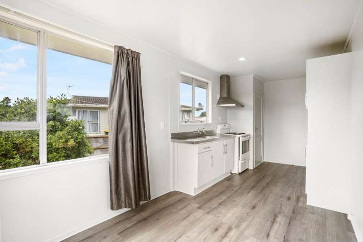 17 Dairy Road Otara_12