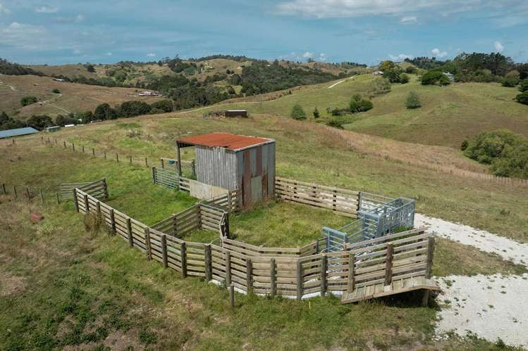 331 Franklin Road Paparoa_15