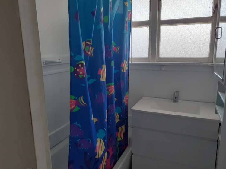 66 Patikura Place 11211_6