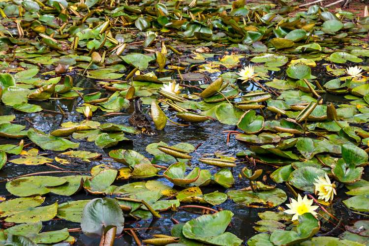 2 Tourist Road Clevedon_23