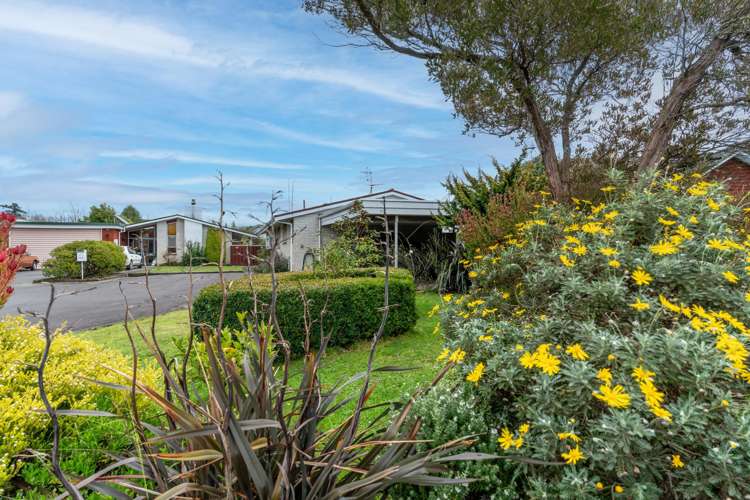 6C Miller Place Masterton_1