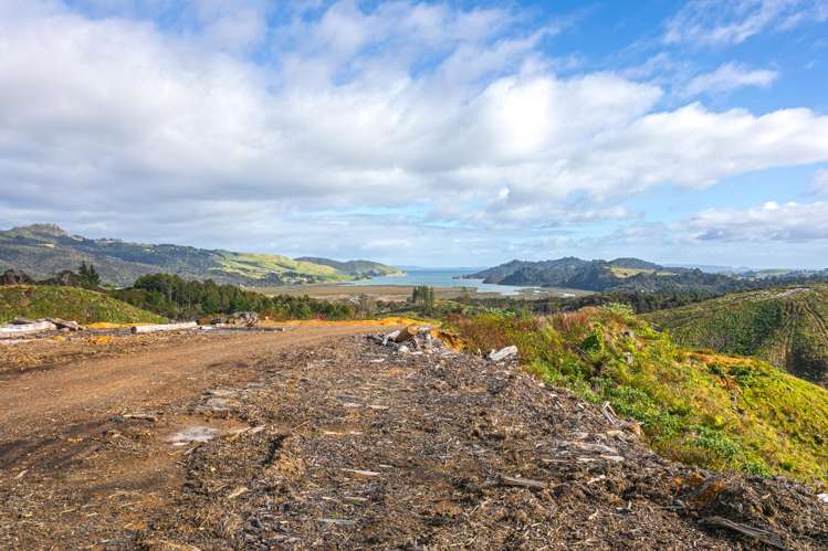 982B Manaia Road Coromandel_29