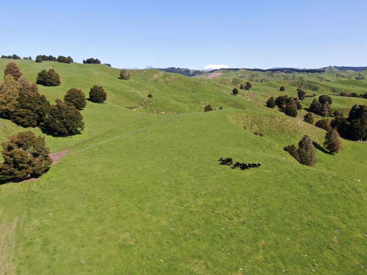 433 Pungapunga Valley Road Taumarunui_8