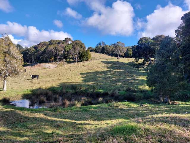 Lot 2/2084 Waiare Road Kaeo_1