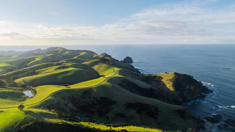 Address withheld Kerikeri_10