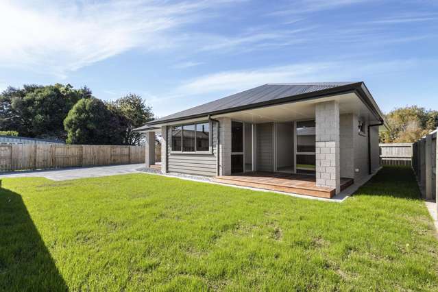 64b Smith Street Matamata_1