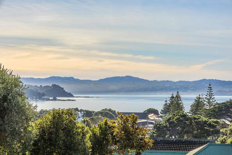 74 Falkirk Avenue Seatoun_18