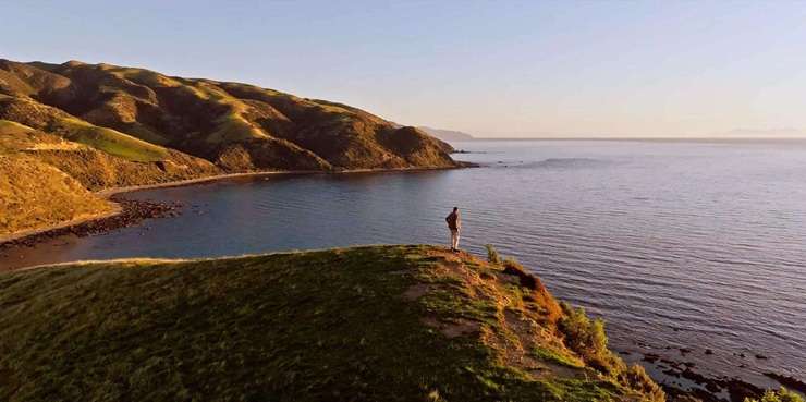 A 742ha coastal farm in Porirua is attracting strong interest from overseas buyers, especially wealthy expats. Photo / Supplied