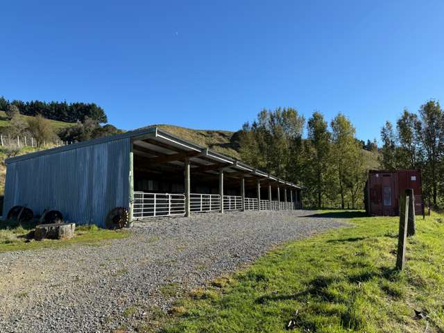 205 Tourere Road Dannevirke_2