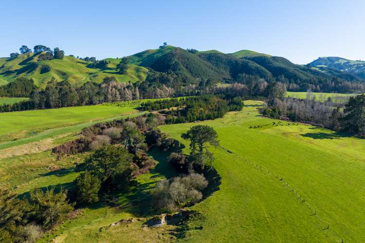 1038 Te Kopia Road Waikite Valley_15