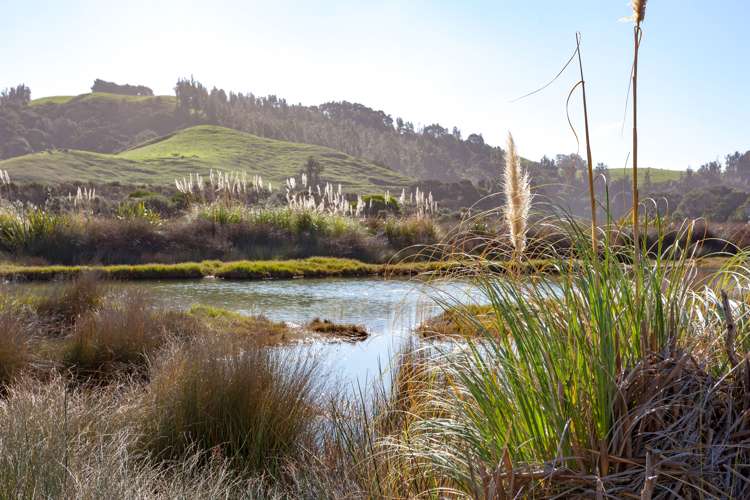 28 Marlin Place Whiritoa_16