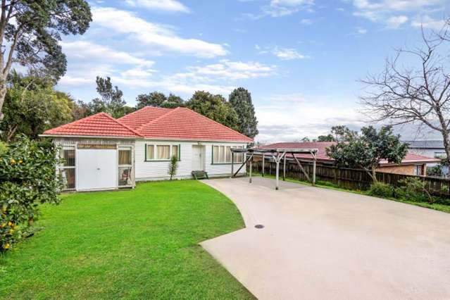 461 Mount Albert Road Mount Roskill_4