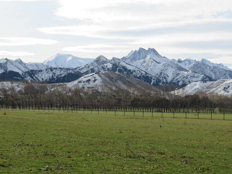 365 Maungawera Valley Road Albert Town_14