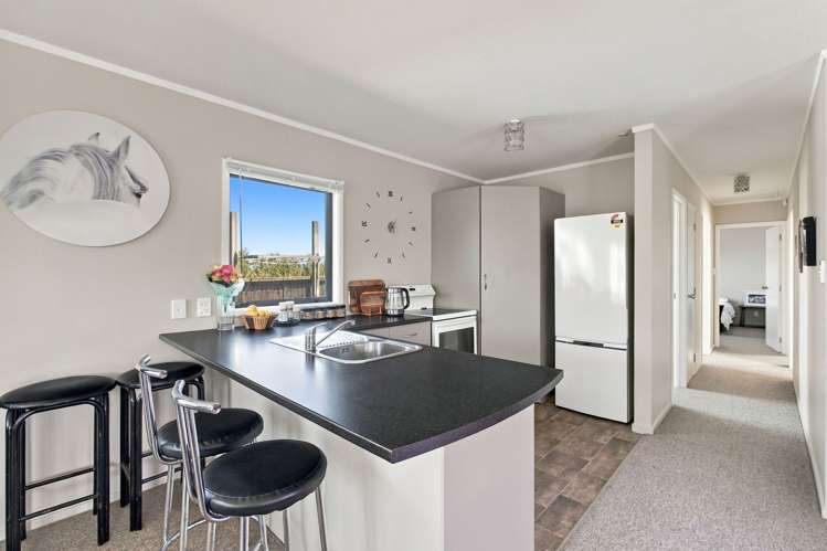 81A Swiss Avenue Gonville_10
