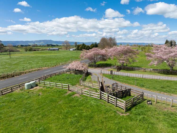 243C Matai Road Matamata_7