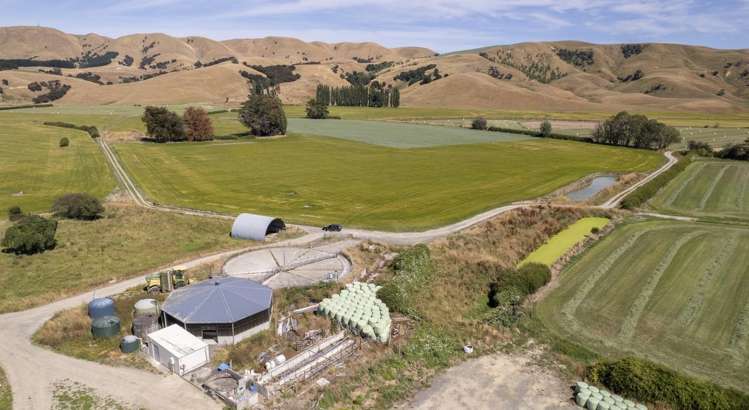 1231 Longbush Road Carterton_7