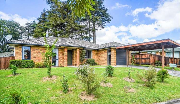 6 Archer Court Hamilton East_0