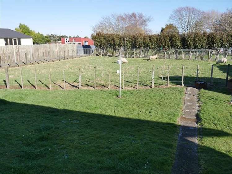 11a Swadling Street Kaponga_5