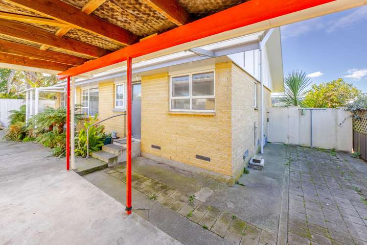 29A Tom Parker Avenue Marewa_12
