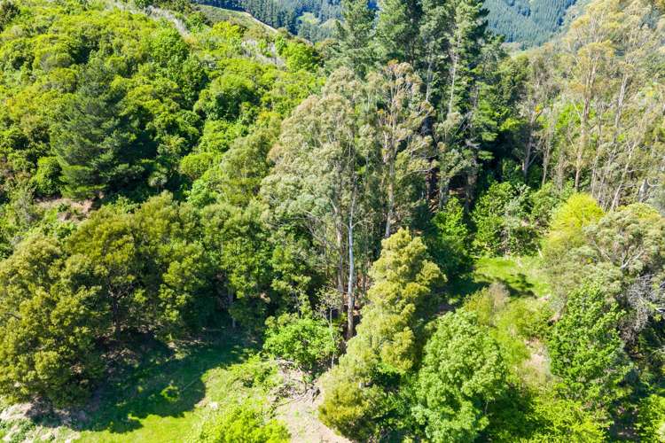 525 State Highway 1 Koromiko_19