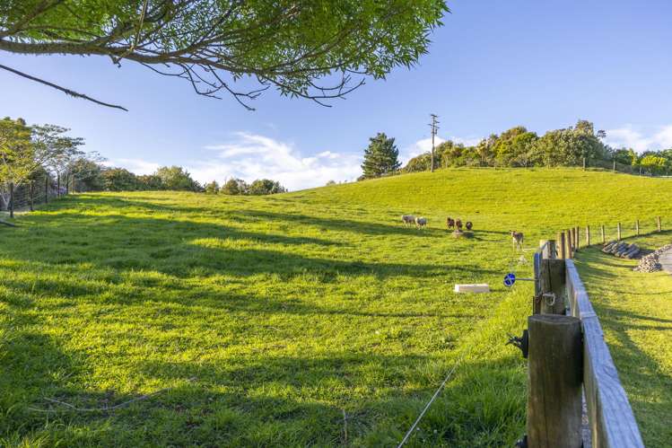 44B Crosland Road South Head_63