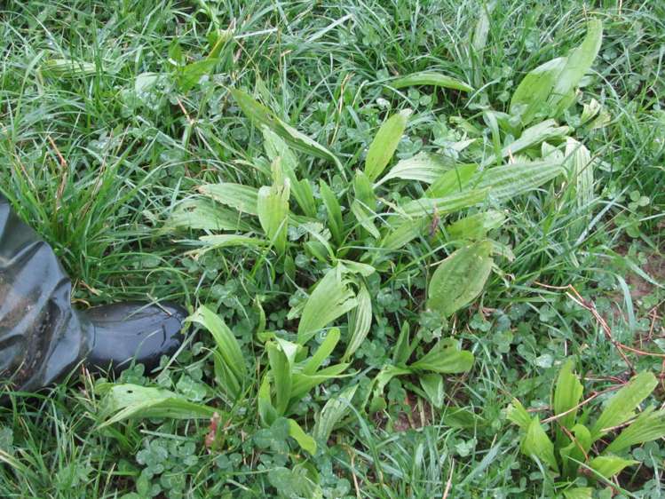 25 Keenan Road Tuatapere_25